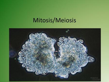 Mitosis/Meiosis. Cell Growth Reason: – Large cells create more of a demand on DNA – Trouble moving enough nutrients and wastes across cell membrane.