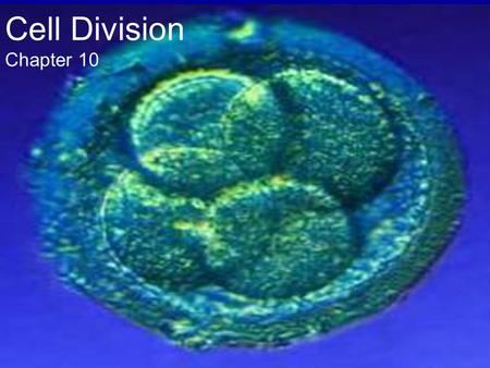 Cell Division Chapter 10.