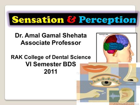 Dr. Amal Gamal Shehata Associate Professor RAK College of Dental Science VI Semester BDS 2011.