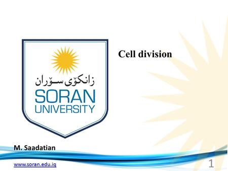 Www.soran.edu.iq M. Saadatian Cell division 1. www.soran.edu.iq Cell division Mitosis.