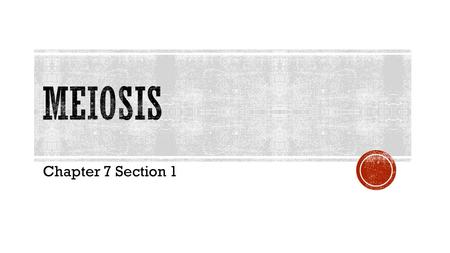 Meiosis Chapter 7 Section 1.