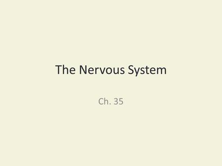 The Nervous System Ch. 35.