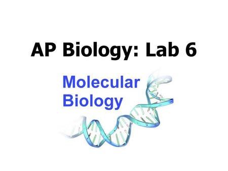AP Biology: Lab 6. In the early 1970s scientists discovered the genetic code is universal - the same for all living things. This has enabled scientists.
