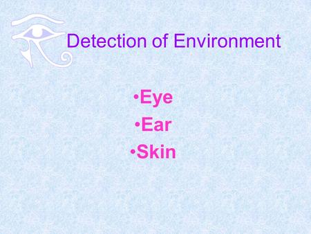 Detection of Environment