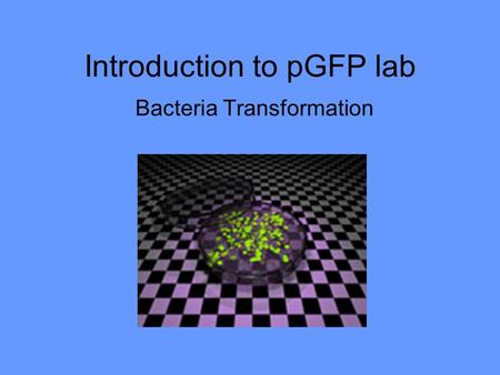 Introduction to pGFP lab