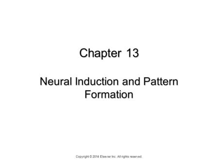 Chapter 13 Neural Induction and Pattern Formation