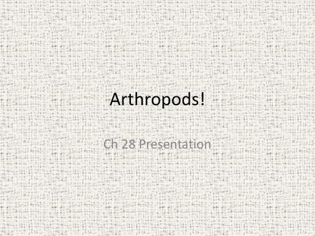 Arthropods! Ch 28 Presentation.