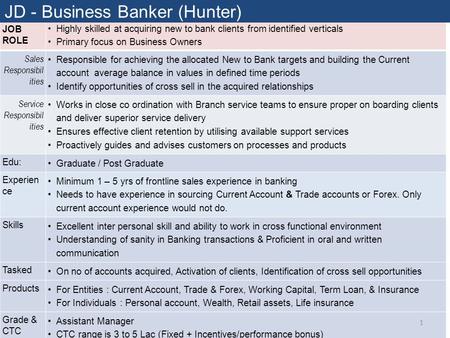JOB ROLE Highly skilled at acquiring new to bank clients from identified verticals Primary focus on Business Owners Sales Responsibil ities Responsible.