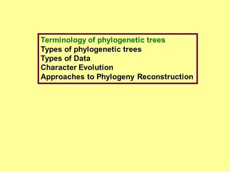 Terminology of phylogenetic trees