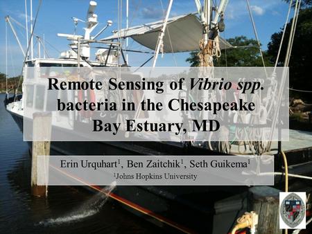 Remote Sensing of Vibrio spp