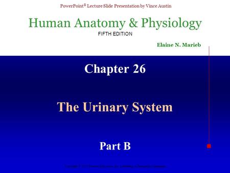 Chapter 26 The Urinary System Part B.