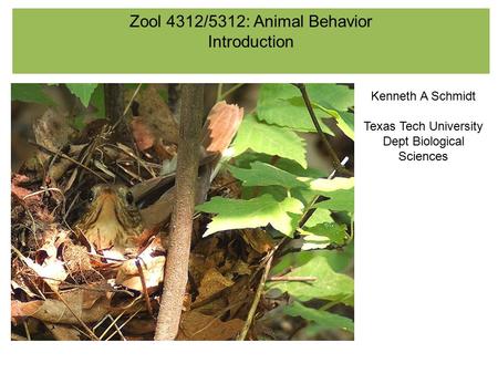 Zool 4312/5312: Animal Behavior Introduction Kenneth A Schmidt Texas Tech University Dept Biological Sciences.
