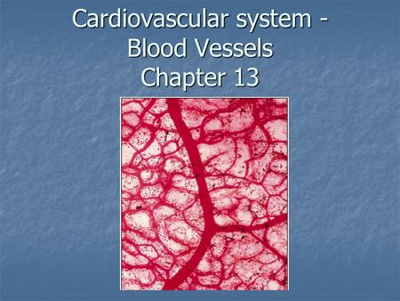 Cardiovascular system - Blood Vessels Chapter 13