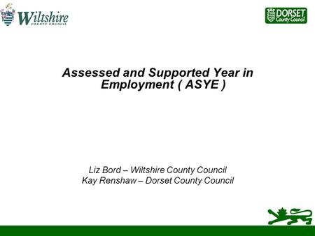Assessed and Supported Year in Employment ( ASYE )