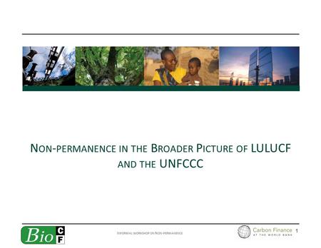I NFORMAL WORKSHOP ON N ON - PERMANENCE 1 N ON - PERMANENCE IN THE B ROADER P ICTURE OF LULUCF AND THE UNFCCC.