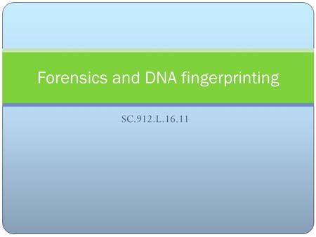 SC.912.L.16.11 Forensics and DNA fingerprinting Discuss the technologies associated with forensic medicine and DNA identification, including restriction.