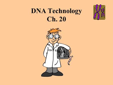 DNA Technology Ch. 20 Figure 20.1 An overview of how bacterial plasmids are used to clone genes.