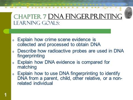 1 Chapter 7 Chapter 7 DNA Fingerprinting Learning Goals: o Explain how crime scene evidence is collected and processed to obtain DNA o Describe how radioactive.