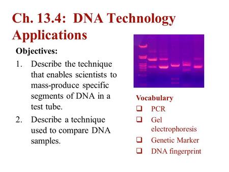 Ch. 13.4: DNA Technology Applications