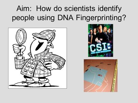 Aim: How do scientists identify people using DNA Fingerprinting?