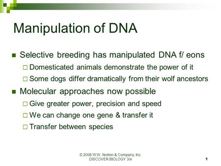 © 2006 W.W. Norton & Company, Inc. DISCOVER BIOLOGY 3/e 1 Manipulation of DNA Selective breeding has manipulated DNA f/ eons  Domesticated animals demonstrate.