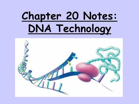 Chapter 20 Notes: DNA Technology. Understanding & Manipulating Genomes 1995: sequencing of the first complete genome (bacteria) 2003: sequencing of the.