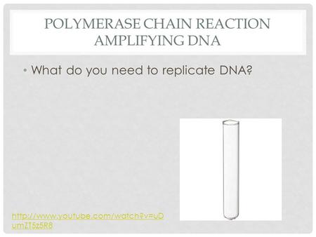 POLYMERASE CHAIN REACTION AMPLIFYING DNA What do you need to replicate DNA?  umZT5z5R8.