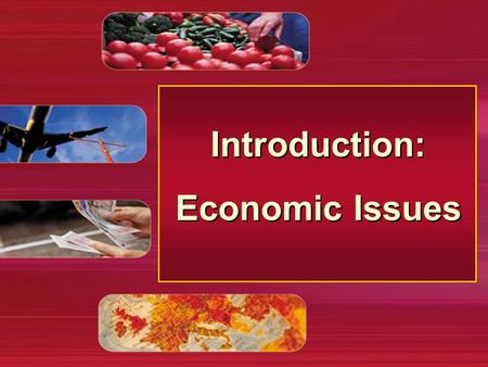 Introduction: Economic Issues Introduction: Economic Issues.
