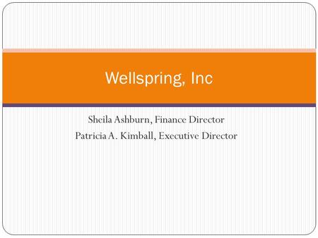 Sheila Ashburn, Finance Director Patricia A. Kimball, Executive Director Wellspring, Inc.