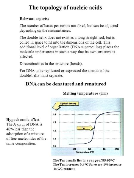 The topology of nucleic acids