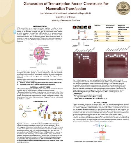 Generation of Transcription Factor Constructs for Mammalian Transfection Leah Schumerth, Michael Farrell, and Winnifred Bryant Ph. D. Department of Biology.
