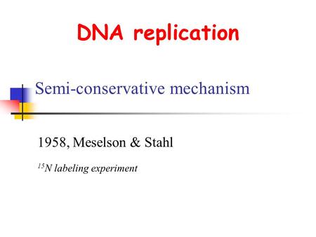 DNA replication Semi-conservative mechanism 1958, Meselson & Stahl 15 N labeling experiment.