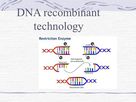 DNA recombinant technology. A series of procedures used to recombine DNA segments.. Under certain conditions, a recombinant DNA molecule can enter a cell.