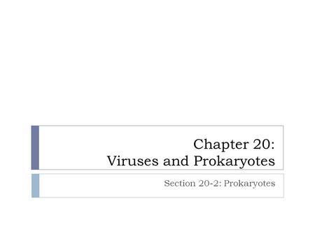 Chapter 20: Viruses and Prokaryotes