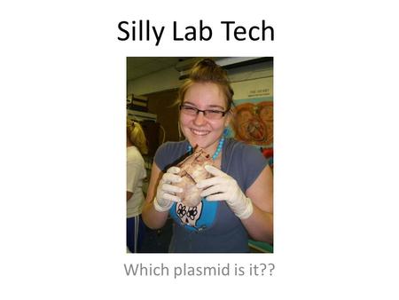 Silly Lab Tech Which plasmid is it??. Your mission… Your silly lab tech did not label tubes of purified plasmid DNA that you need for your experiments!!
