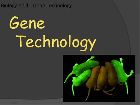 11/1/2009 Biology 11.1 Gene Technology Gene Technology.