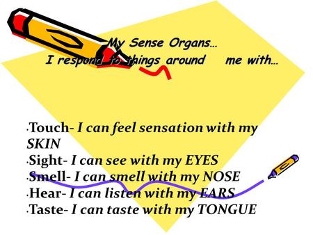 Touch- I can feel sensation with my SKIN Sight- I can see with my EYES Smell- I can smell with my NOSE Hear- I can listen with my EARS Taste- I can taste.