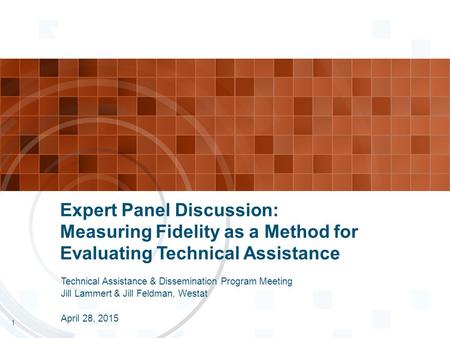 Expert Panel Discussion: Measuring Fidelity as a Method for Evaluating Technical Assistance Technical Assistance & Dissemination Program Meeting Jill Lammert.