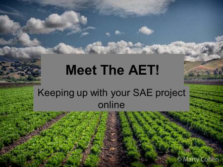 Meet The AET! Keeping up with your SAE project online.