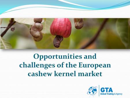 Opportunities and challenges of the European cashew kernel market.