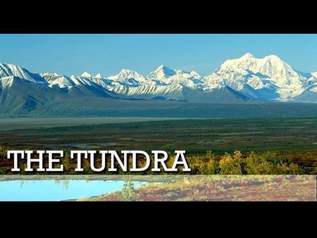 The Tundra.