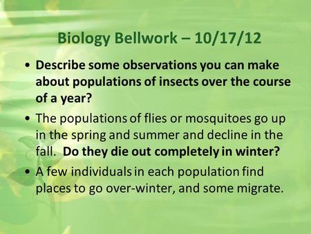 Biology Bellwork – 10/17/12 Describe some observations you can make about populations of insects over the course of a year? The populations of flies or.