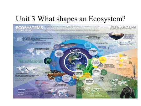 Unit 3 What shapes an Ecosystem?