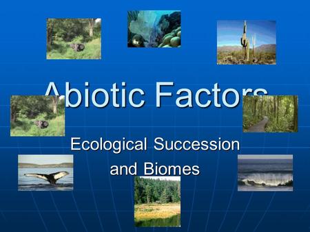 Abiotic Factors Ecological Succession and Biomes.