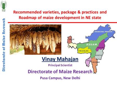 Directorate of Maize Research