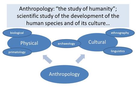 Anthropology: “the study of humanity”; scientific study of the development of the human species and of its culture… Anthropology Physical Cultural biological.