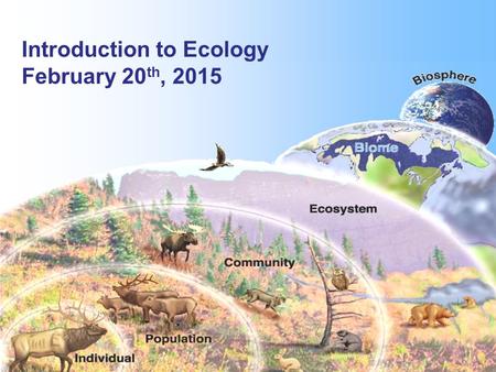 Introduction to Ecology February 20 th, 2015. Ecology: deals with different levels of organization.
