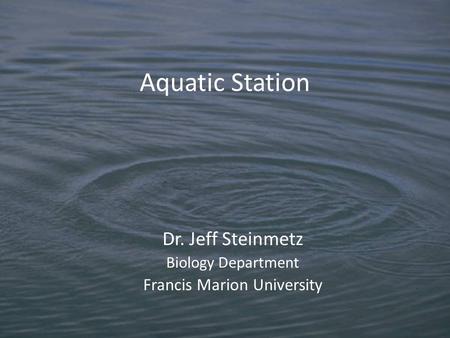 Dr. Jeff Steinmetz Biology Department Francis Marion University