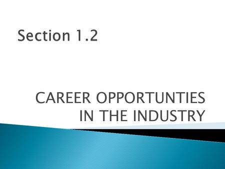 CAREER OPPORTUNTIES IN THE INDUSTRY