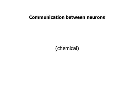 Communication between neurons